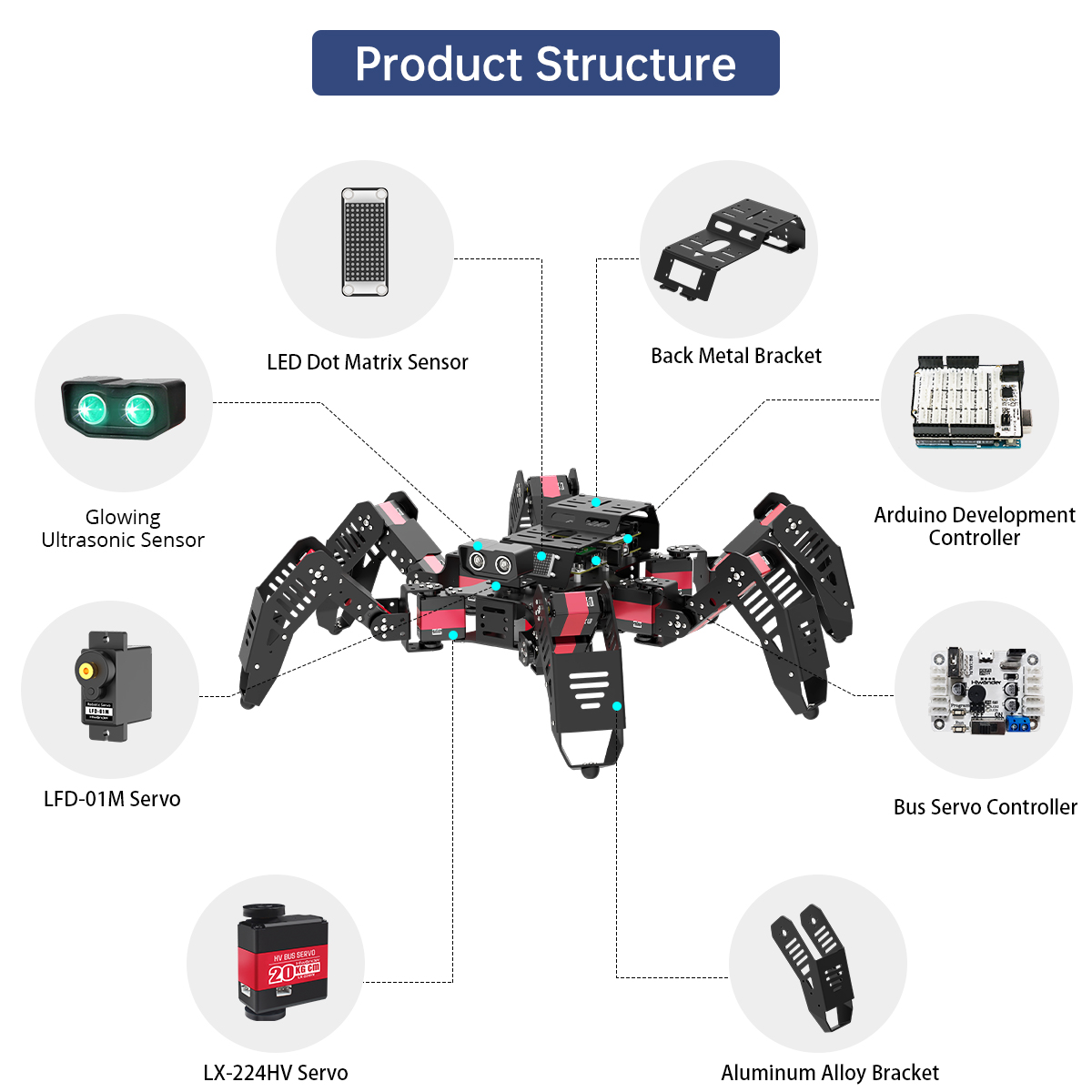 Hiwonder Spiderbot Programmabl - огляд і ціна Robotics Kit