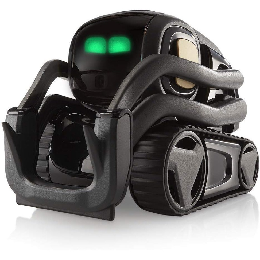 AI ChatGPT 2.0 Connected Robot - огляд і ціна Robot Remote Control