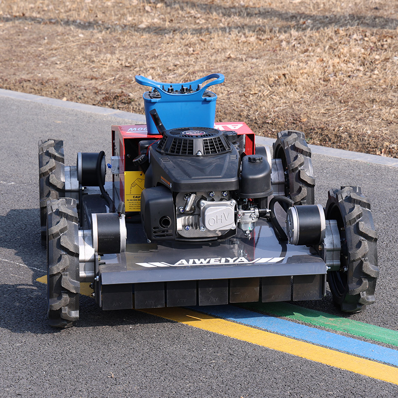 customized Remote Control Robo - огляд і ціна Robot Wheel