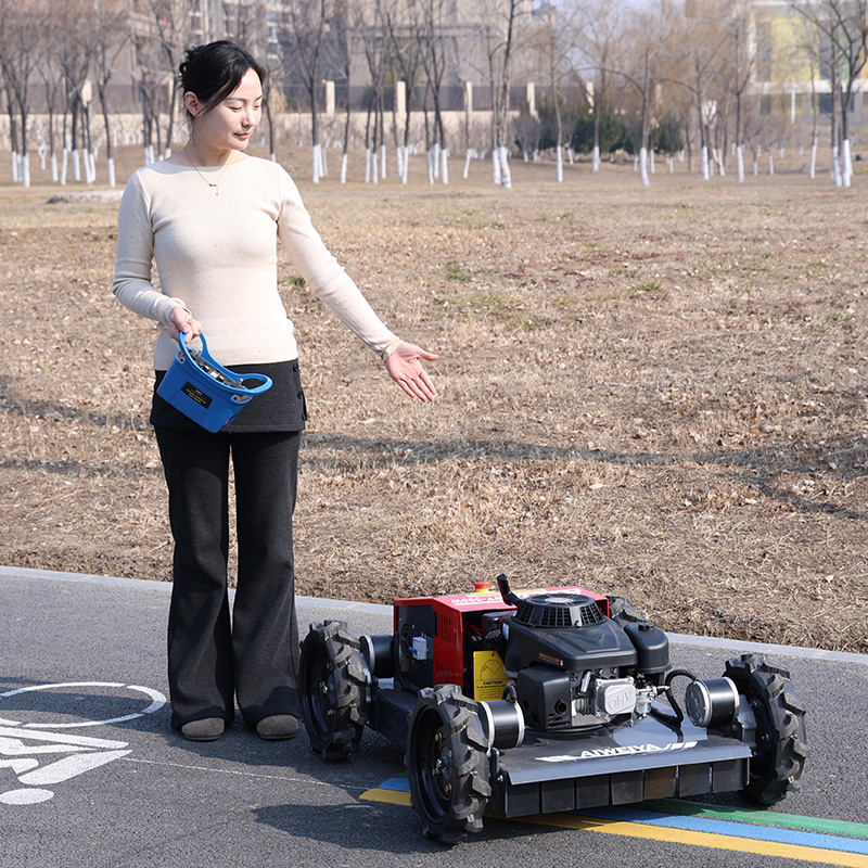 customized Remote Control Robo - огляд і ціна Robot Wheel